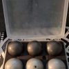 Boules de pétanques Molle "MA BOUL״